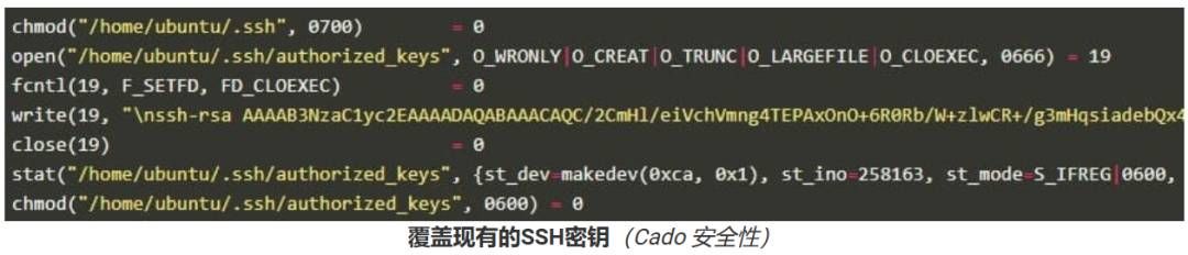 金瀚信安：P2PInfect僵尸網(wǎng)絡(luò)急速擴(kuò)張，攻擊頻率激增600倍，全球大規(guī)模入侵4